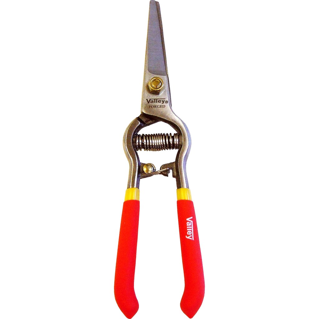 8" STRAIGHT BLADE FLOWER SHEAR, FORGED