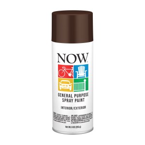 10 OZ. SPRAY PAINT-BROWN