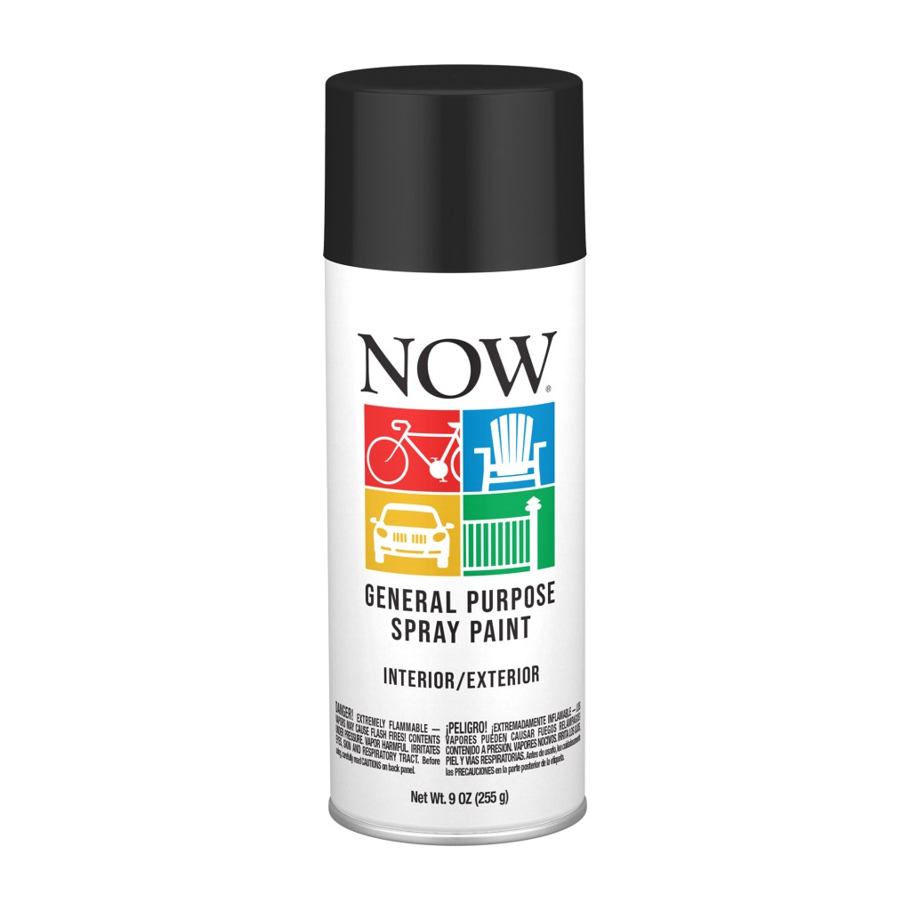 10 OZ. SPRAY PAINT-FLAT BLACK