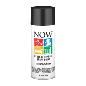 10 OZ. SPRAY PAINT-GLOSS BLACK