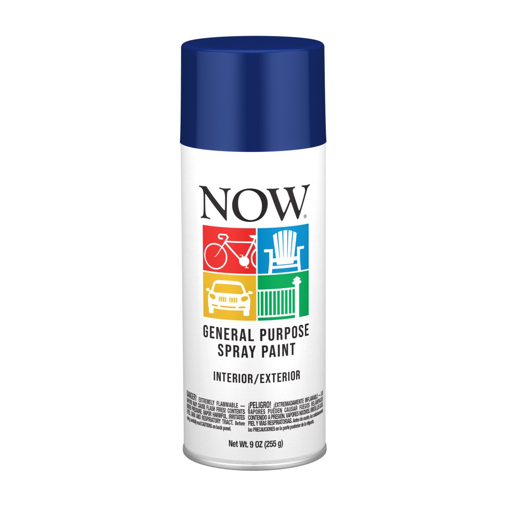 10 OZ. SPRAY PAINT-ROYAL BLUE