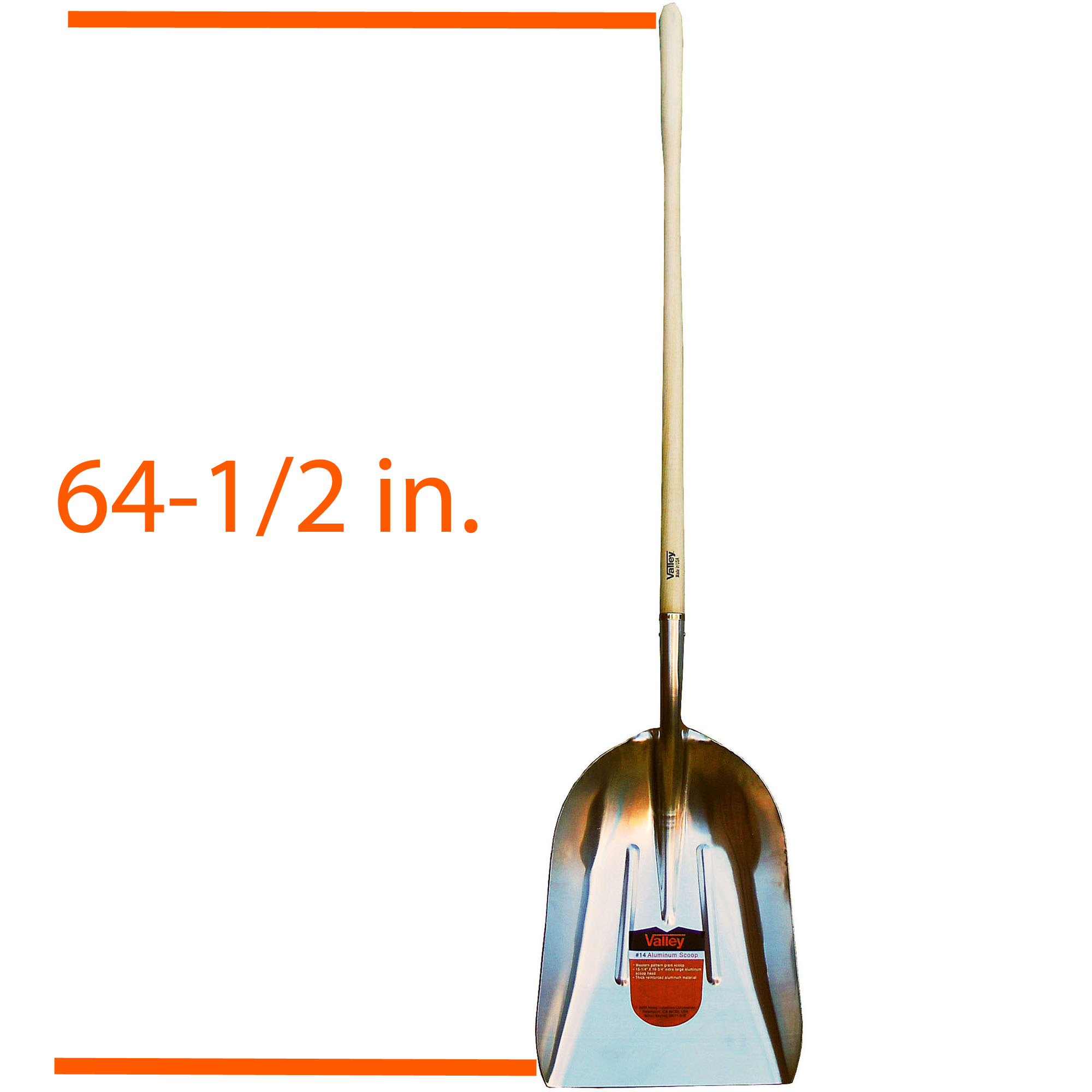 #14 ALUMINUM SCOOP, 48" ASH HANDLE (USA) - Image 4